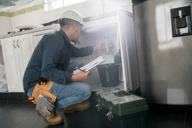Best Plumbing Inspection Services  in North Patchogue, NY
